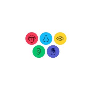 Pack Amulette 5 Sens (32 unités)