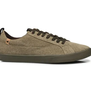 Cannon Canvas M Brown